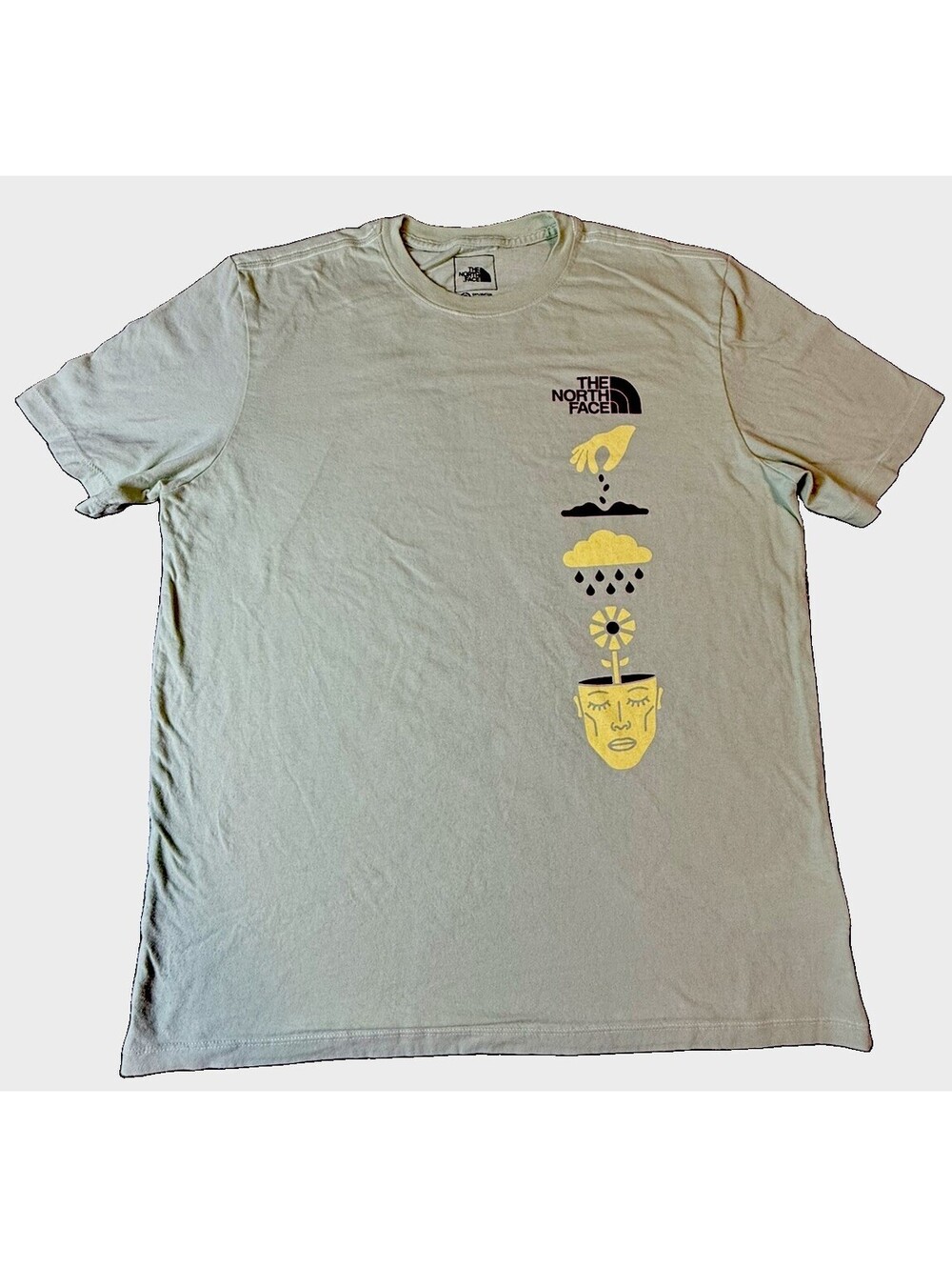 The North Face T-Shirt Misty Sage Growth of the Mind Graphic / Mens Large